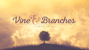 VineandBranches-Theme